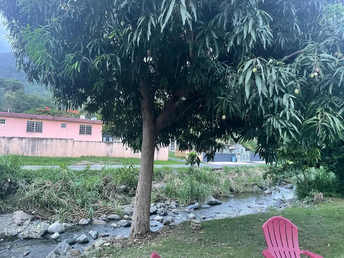 Сasa de vacaciones El Yunque House Of Dreams Villa Naguabo