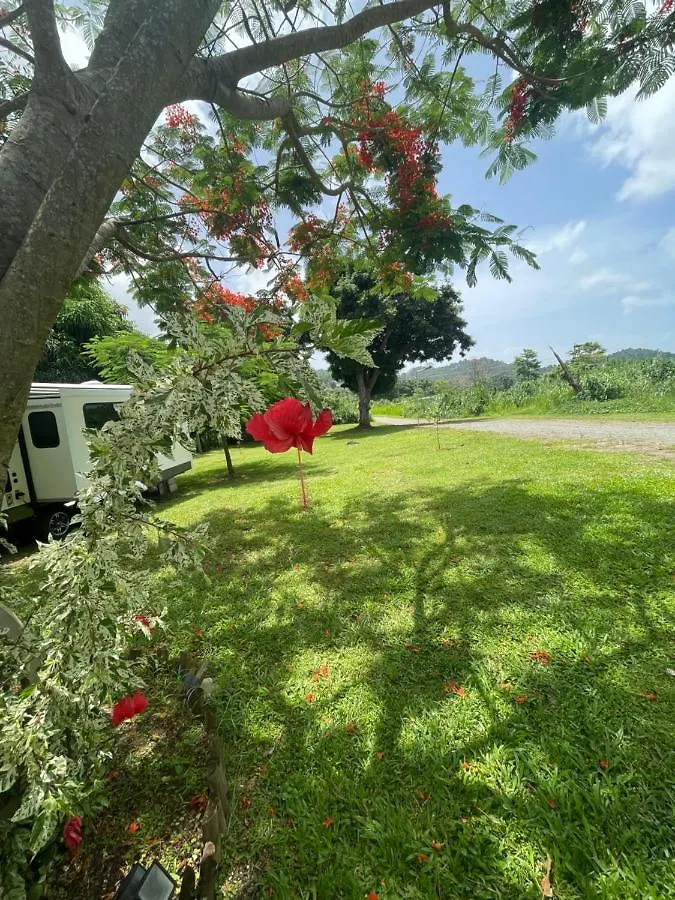 El Yunque House Of Dreams Villa Naguabo 0*,  Puerto Rico